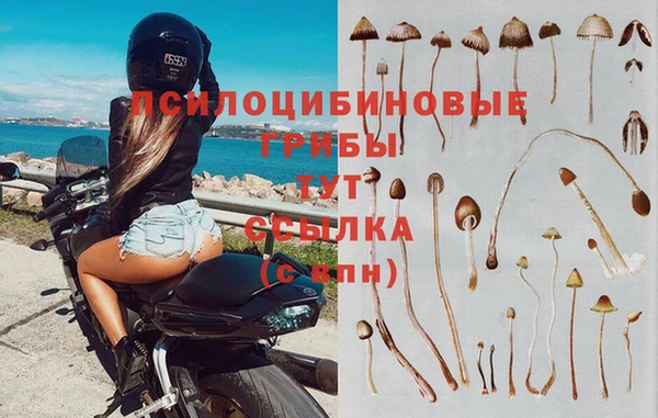 ешки Алзамай