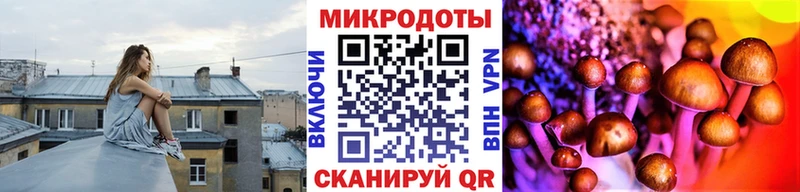 Псилоцибиновые грибы прущие грибы  блэк спрут как войти  Чистополь 